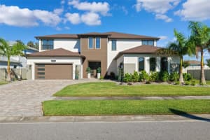 8684 SANDERS TREE LOOP, WESLEY CHAPEL, FL 33545 - MLS#MFRTB8468357