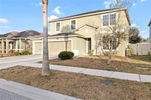 12208 MORGANS BLUFF PLACE, RIVERVIEW, FL 33579 - MLS#MFRTB8468361