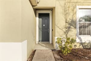 12208 MORGANS BLUFF PLACE, RIVERVIEW, FL 33579 - MLS#MFRTB8468361