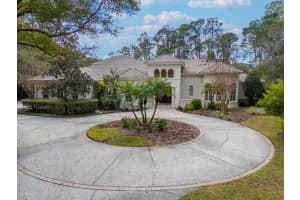 18901 LAKES EDGE WAY, ODESSA, FL 33556 - MLS#MFRTB8468383