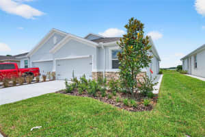 31463 PAPER BIRCH STREET, WESLEY CHAPEL, FL 33545 - MLS#MFRTB8468400