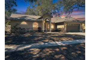 910 Balsamina Dr, BRANDON