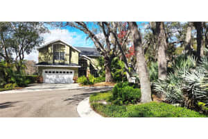 2207 GREEN OAKS LANE, TAMPA, FL 33612 - MLS#MFRTB8468440