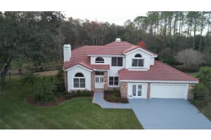 8702 Cypress Mill Ct, TAMPA 8702 Cypress Mill Ct, TAMPA