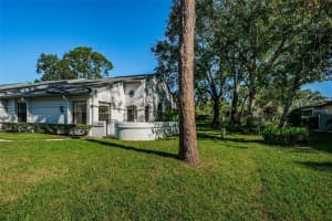 3870 PHEASANT COURT, PALM HARBOR, FL 34685 - MLS#MFRTB8468454