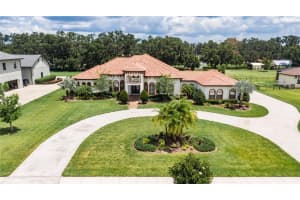 304 HAWK TALON DRIVE, LITHIA, FL 33547 - MLS#MFRTB8468458