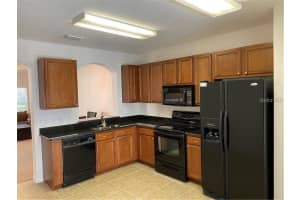 15770 FISHHAWK FALLS DRIVE, LITHIA, FL 33547 - MLS#MFRTB8468460