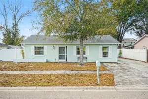 6515 Spanish Moss Cir, TAMPA