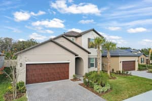10843 Ibis Brook Ct, LAND O LAKES