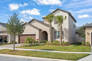 10843 IBIS BROOK COURT, LAND O LAKES, FL 34638 - MLS#MFRTB8468469