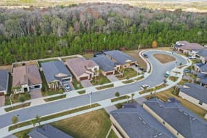 10843 IBIS BROOK COURT, LAND O LAKES, FL 34638 - MLS#MFRTB8468469