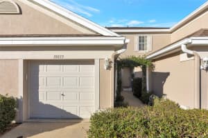 10033 TRANQUILITY WAY, TAMPA, FL 33625 - MLS#MFRTB8468541