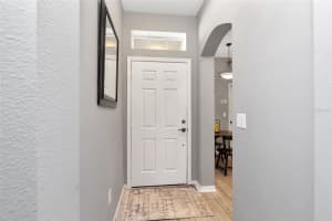 10033 TRANQUILITY WAY, TAMPA, FL 33625 - MLS#MFRTB8468541