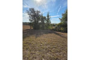 5510 ALDERWOOD STREET, SPRING HILL, FL 34606 - MLS#MFRTB8468549