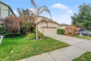 2449 SILVERMOSS DRIVE, WESLEY CHAPEL, FL 33544 - MLS#MFRTB8468551