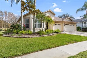18955 MAISONS DRIVE, LUTZ, FL 33558 - MLS#MFRTB8468573