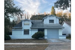 11230 Elmfield Dr, TAMPA