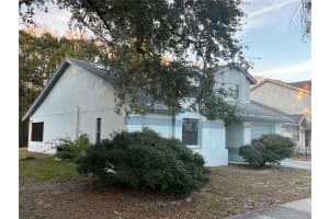 11230 ELMFIELD DRIVE, TAMPA, FL 33625 - MLS#MFRTB8468574