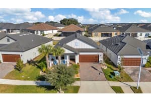 31493 CANNON RUSH DRIVE, SAN ANTONIO, FL 33576 - MLS#MFRTB8468580