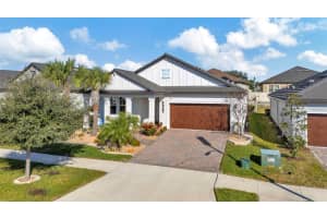31493 CANNON RUSH DRIVE, SAN ANTONIO, FL 33576 - MLS#MFRTB8468580