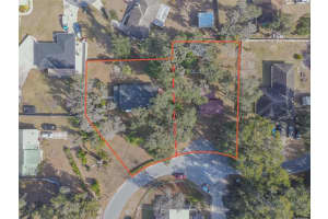 1175 CR 463B, LAKE PANASOFFKEE, FL 33538 - MLS#MFRTB8468613