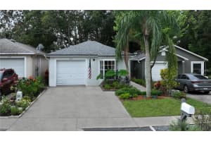 674 Channing Dr, PALM HARBOR 674 Channing Dr, PALM HARBOR