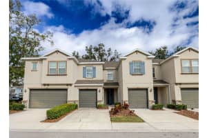 6625 CITRUS CREEK LANE, TAMPA, FL 33625 - MLS#MFRTB8468631