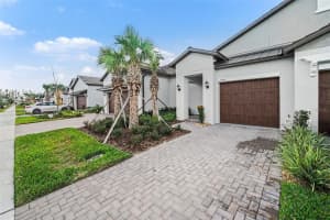 17244 TORTOISE CROWN BOULEVARD, LAND O LAKES, FL 34638 - MLS#MFRTB8468676