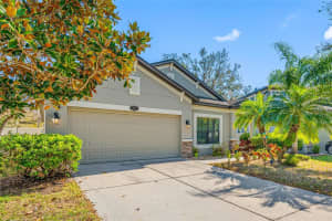 11652 PALMETTO PINE STREET, RIVERVIEW, FL 33569 - MLS#MFRTB8468685
