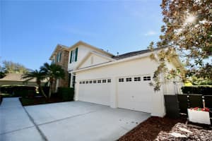 19822 PRINCE BENJAMIN DRIVE, LUTZ, FL 33549 - MLS#MFRTB8468732