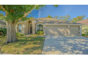 12804 BIG SUR DRIVE, TAMPA, FL 33625 Sold 02/19/26