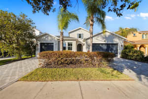 3713 Wicket Field Rd, LUTZ 3713 Wicket Field Rd, LUTZ