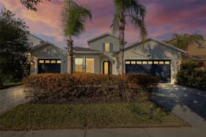 3713 WICKET FIELD ROAD, LUTZ, FL 33548 - MLS#MFRTB8468736