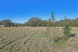 00 CR-542, LAKELAND, FL 33801 - MLS#MFRTB8468769