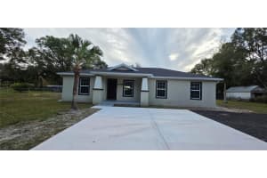 26438 BRAHMA DRIVE, WESLEY CHAPEL, FL 33544 - MLS#MFRTB8468779