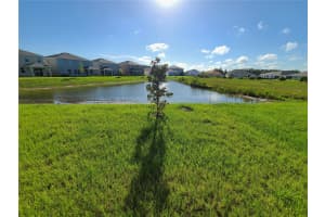 2518 WARREN ACRES BOULEVARD, WESLEY CHAPEL, FL 33543 - MLS#MFRTB8468835