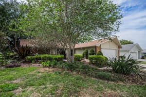 1700 MACDONNELL DRIVE, PALM HARBOR, FL 34684 - MLS#MFRTB8468857