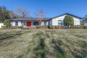 6126 NATIVE WOODS DRIVE, TAMPA, FL 33625 - MLS#MFRTB8468868