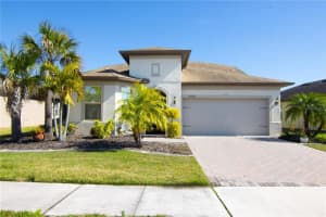 8000 Olive Brook Dr, WESLEY CHAPEL