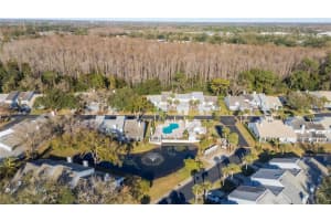 4138 BRENTWOOD PARK CIRCLE, TAMPA, FL 33624 - MLS#MFRTB8468891