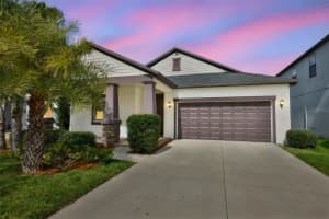 10616 Great Cormorant Dr, RIVERVIEW