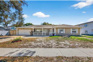 527 Julie Ln, BRANDON