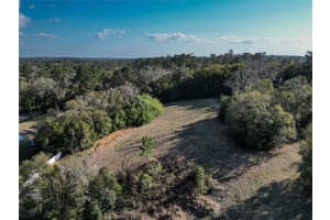 W DR M L KING JR BLVD, BROOKSVILLE, FL 34601 - MLS#MFRTB8468906