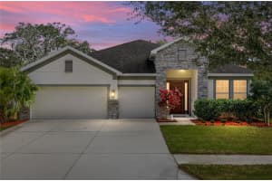 6414 Doe Path Ct, WESLEY CHAPEL