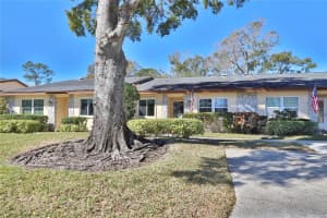 880 MACLAREN DRIVE, PALM HARBOR, FL 34684 - MLS#MFRTB8468912