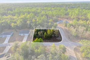 10953 OCEAN DRIVE, CITRUS SPRINGS, FL 34434 Sold 02/23/26