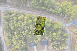 10887 OCEAN DRIVE, CITRUS SPRINGS, FL 34434 Sold 02/23/26