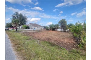 10234 ARCADIA STREET, PORT CHARLOTTE, FL 33981 - MLS#MFRTB8468965