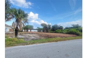 10234 ARCADIA STREET, PORT CHARLOTTE, FL 33981 - MLS#MFRTB8468965