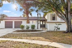 8507 WOODDALE COURT, TAMPA, FL 33615 - MLS#MFRTB8468976